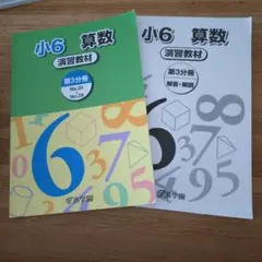 浜学園　小6 算数 演習教材 第3冊 No.20 No.28