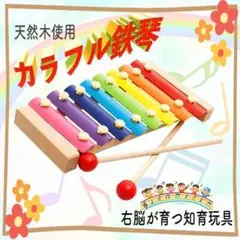 木琴 鉄琴 おもちゃ 知育 幼児 ベビー 赤ちゃん カラフル 音楽 おもちゃ