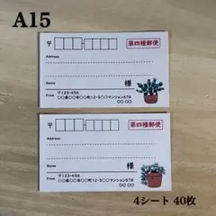 宛名シール*A15 多肉植物 サボテン 第四種郵便 40枚
