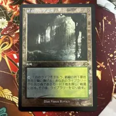 MTG【新緑の地下墓地】日本語版 BF 4枚 MH2 479 旧枠仕様)新緑の地下墓地/Verdant Catacombs《日本語》【MH2】