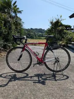 ピナレロ　PINARELLO FP2おまけつき ピナレロ FP2 Carbon フルカーボン入門モデルの新たなる標準