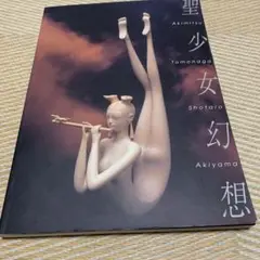 友永詔三 木版画 「花かざり」 m24735857604_1.jpg?1719408899