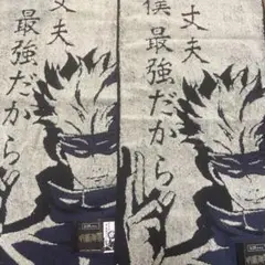 Item thumbnail for item 48f79d95-2ace-493e-9e4c-6f65a71d4462