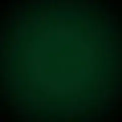 専用