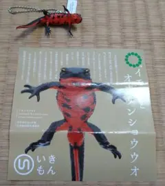 ネイチャーテクニカラー アカハライモリボールチェーン
リーフレットあり
カプセル