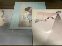 【3枚セット】 君島大空　アナログ　レコード　午後の反射光　縫層　袖の汀