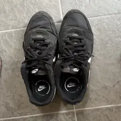 Item thumbnail for item ac47c712-5537-49e2-bea9-3ddb7a3a6a4a