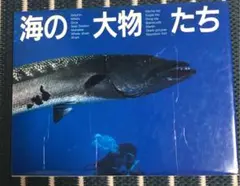 写真集　海の大物たち