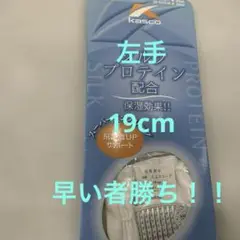 Kasco シルクプロテイン 19cm 左手