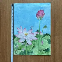 手描き水彩画　「行田の古代蓮の里」