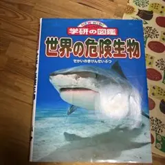 世界の危険生物