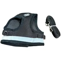 Item thumbnail for item 6d0de1f4-0a8b-4cc2-8278-b82cec875b28