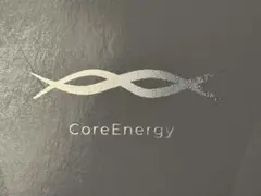 CoreEnergy コアエナジーFIT 【Lサイズ】