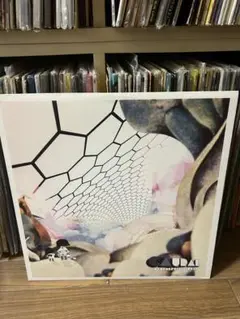 CAVAL - MUSH
