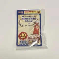 【R-1】ミニチュアチャーム