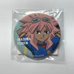 【新品未開封】イナズマイレブン くじ引き堂 缶バッジ D賞 綱海