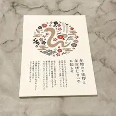 ⭐️ 年賀状じまい 私製10枚入り【特選デザイナーズ】パピレイJIM-601