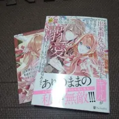 出来損ない令嬢に転生したギャルが見返すために努力した結果、溺愛されてますけど何…