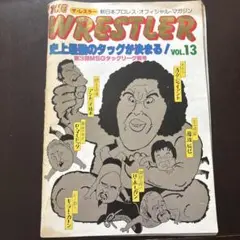 新日本プロレス第三回MSGタッグリーグパンフレット