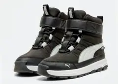 Item thumbnail for item 2a8b0db8-fd8d-4de2-b26f-85d26165c57b