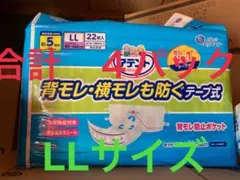 Item thumbnail for item b173d00b-c426-4305-87ff-82f7e3e13b45