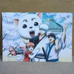銀魂 銀祭り 2019 ブロマイド