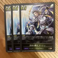 真理の騎士 ゴードン プレミアム 3枚 シャドウバースエボルヴ