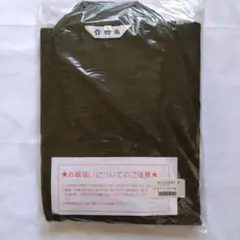 Item thumbnail for item f40d69f0-2e5d-4d73-b419-7b9ab36c27c1