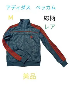 Item thumbnail for item 6290479e-7690-4c9d-8917-62746349c044