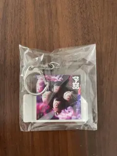 新しい学校のリーダーズ キーホルダー マ人間