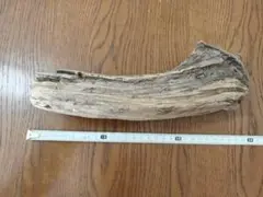 Item thumbnail for item 2d87a2a7-5755-4a58-b9f4-5e8d69a56a64