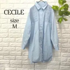 Item thumbnail for item 784f36fc-42d3-4c61-9b2c-5571df7bc963
