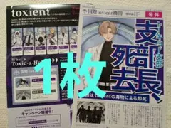 1枚★非売品★国際toxient号外 　トキシカホリック　チラシ　フライヤー