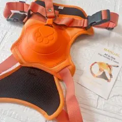 Item thumbnail for item 02f45d44-6f88-491d-a7ee-9cd5da288cdd