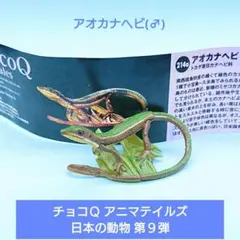 希少【海洋堂】ChocoQ 日本の動物 第9弾 214a アオカナヘビ(♂)