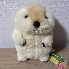 マーモットのもっとっと コンパクト JB ジャンボ ぬいぐるみ