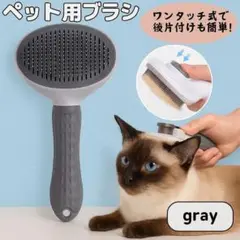 Item thumbnail for item c7bebc44-20cf-459d-b9fc-7959632f6563