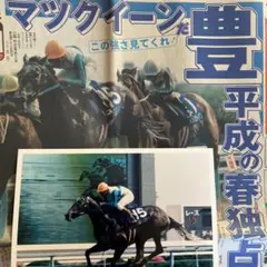 スペシャルウィーク　武豊　天皇賞秋　競走馬　写真　パネル　額縁　スポーツ新聞付き スペシャルウィーク 武豊 天皇賞秋 競走馬 写真 パネル 額縁