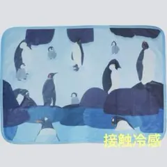 ひんやりブランケット ペンギン 接触冷感