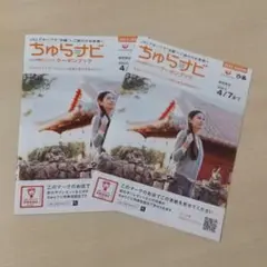 ちゅらナビ 2022-2023号 2冊セット