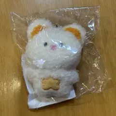 EVNNE EVNNIZ ミニ キーリング ぬいぐるみ ポルンイ スンオン