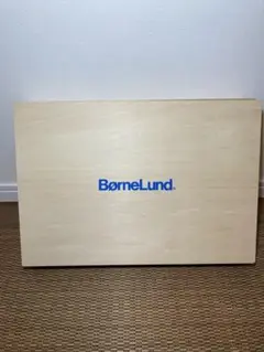 【訳あり未使用品】BorneLund 木製　積み木　無垢材　無塗装品