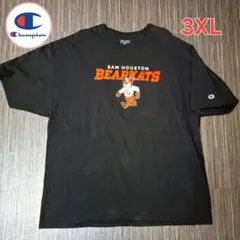 チャンピオン　Tシャツ　3XL