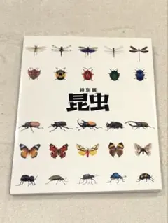 2018年国立科学博物館特別展　昆虫　図録
