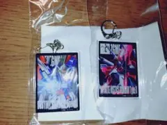 ガンダムSEED FREEDOMモビルスーツアクリルチャーム2個セット