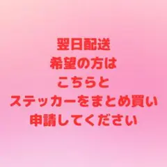 藍様 リクエスト 2点 まとめ商品