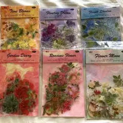 Item thumbnail for item f5c35bfa-27f1-463f-9823-c56b6248df56