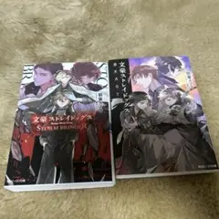 文豪ストレイドッグス 小説 2点セット