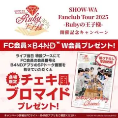 SHOW-WA チェキ風ブロマイド　１枚
