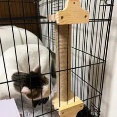 【送料込み】猫 爪とぎ ゲージ取り付け 30cm【380】D0903